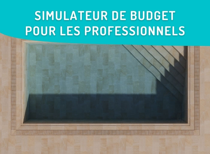 Simulateur du budget