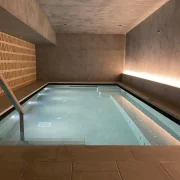 Overflow system S9 Smart